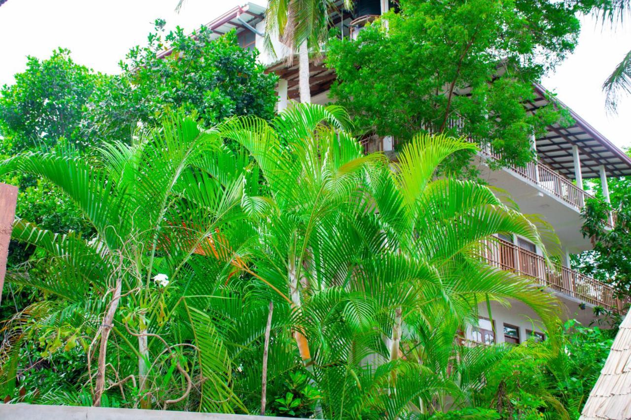 Turtle Paradise Tangalle Exterior photo